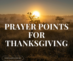 25 Powerful Prayer Points For Destiny Helpers With Scriptures 2026